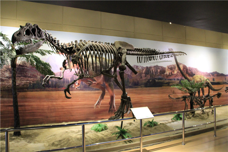 泰国曼谷恐龙博物馆