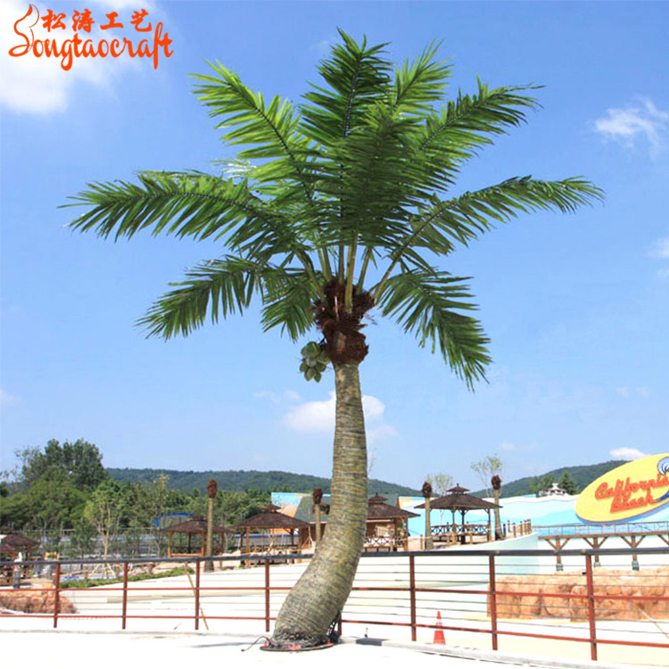 （韩国庆州）新款弯型椰子树