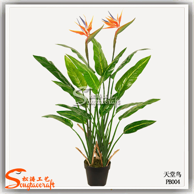 松涛工艺仿真植物有哪些 松涛工艺仿真植物有哪些
