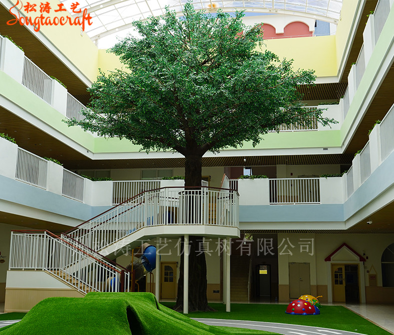 惠州博罗幼儿园榕树景观